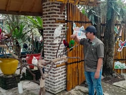 Cikembulan Vibes! Libur Natal 2024 Jadi Momen Hits Wisata di Taman Satwa Cikembulan Garut