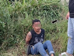 Pencuri Kopi Dibekuk di Kebun Ciburial, Satu Pelaku Kabur ke Hutan!