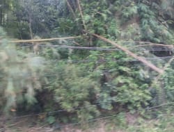 Keselamatan Warga Terancam, Jaringan Kabel Liar Harus Dibersihkan, Desakan Fakta Garut Menguat