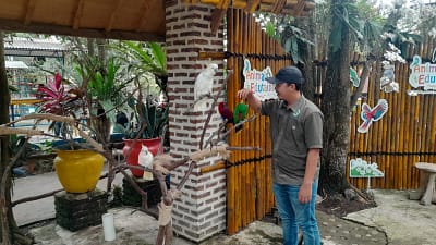 Cikembulan Vibes! Libur Natal 2024 Jadi Momen Hits Wisata di Taman Satwa Cikembulan Garut